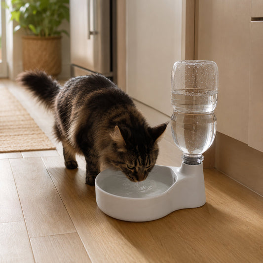 Bebedouro pet branco com reservatório, gato bebendo água