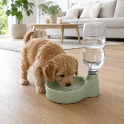 Bebedouro pet verde sage com reservatório, cachorrinho bebendo