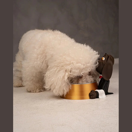 Cãozinho comendo na tigela apoiada no Pawsh Service