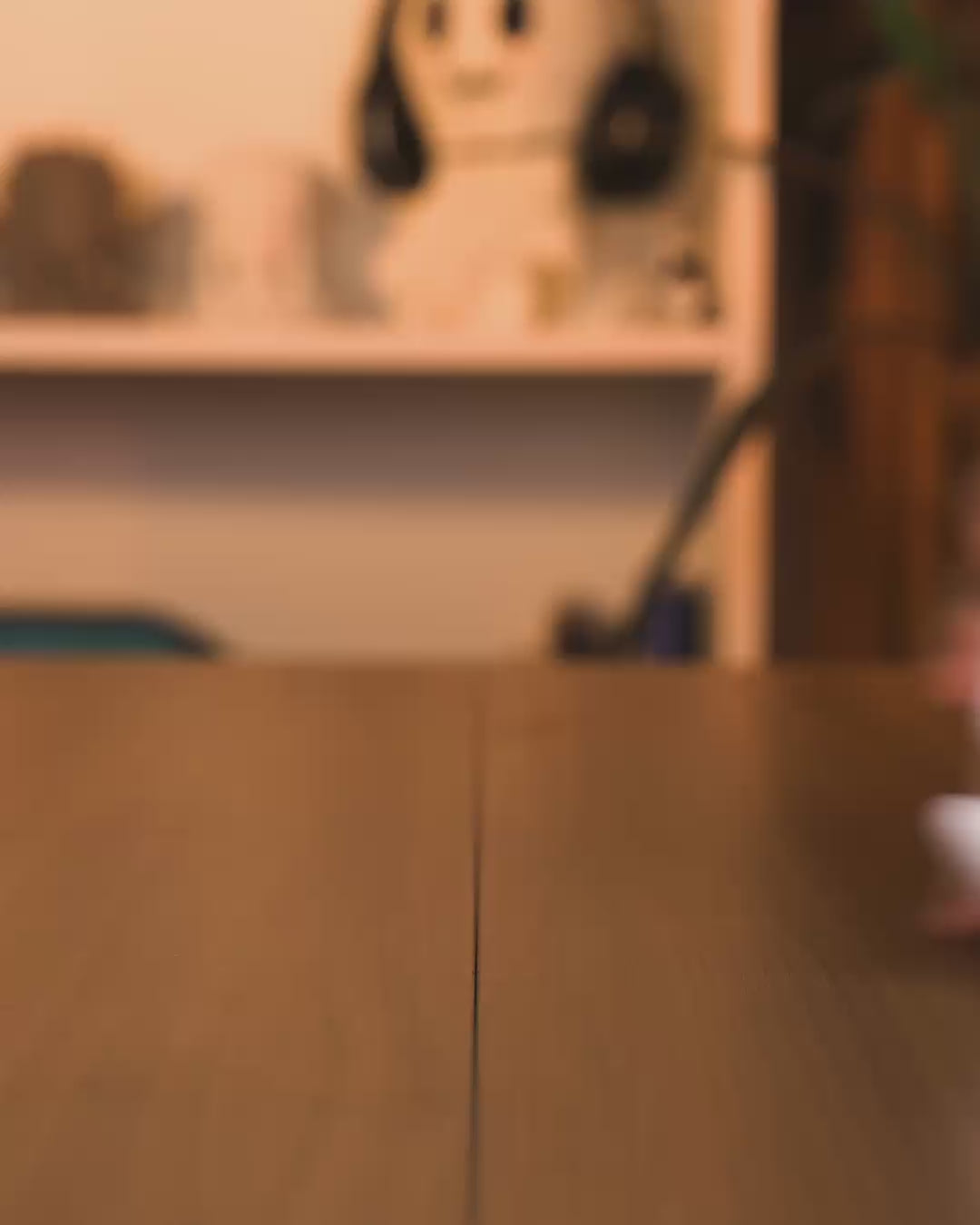 Colo de Gato em vídeo