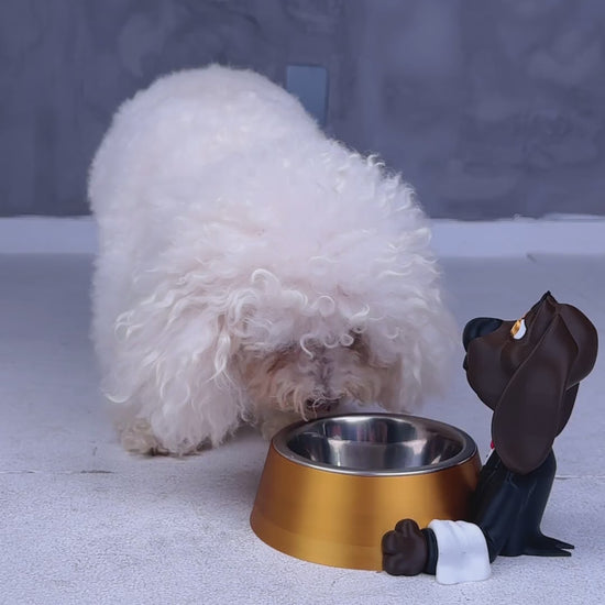 Vídeo do Pawsh Service porta-tigela cão mordomo