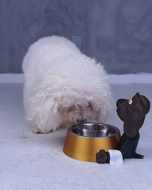 Vídeo do Pawsh Service porta-tigela cão mordomo
