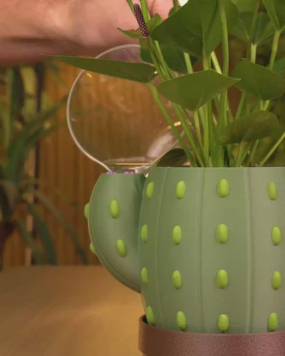 Vaso Cacto Auto-irrigável — vídeo