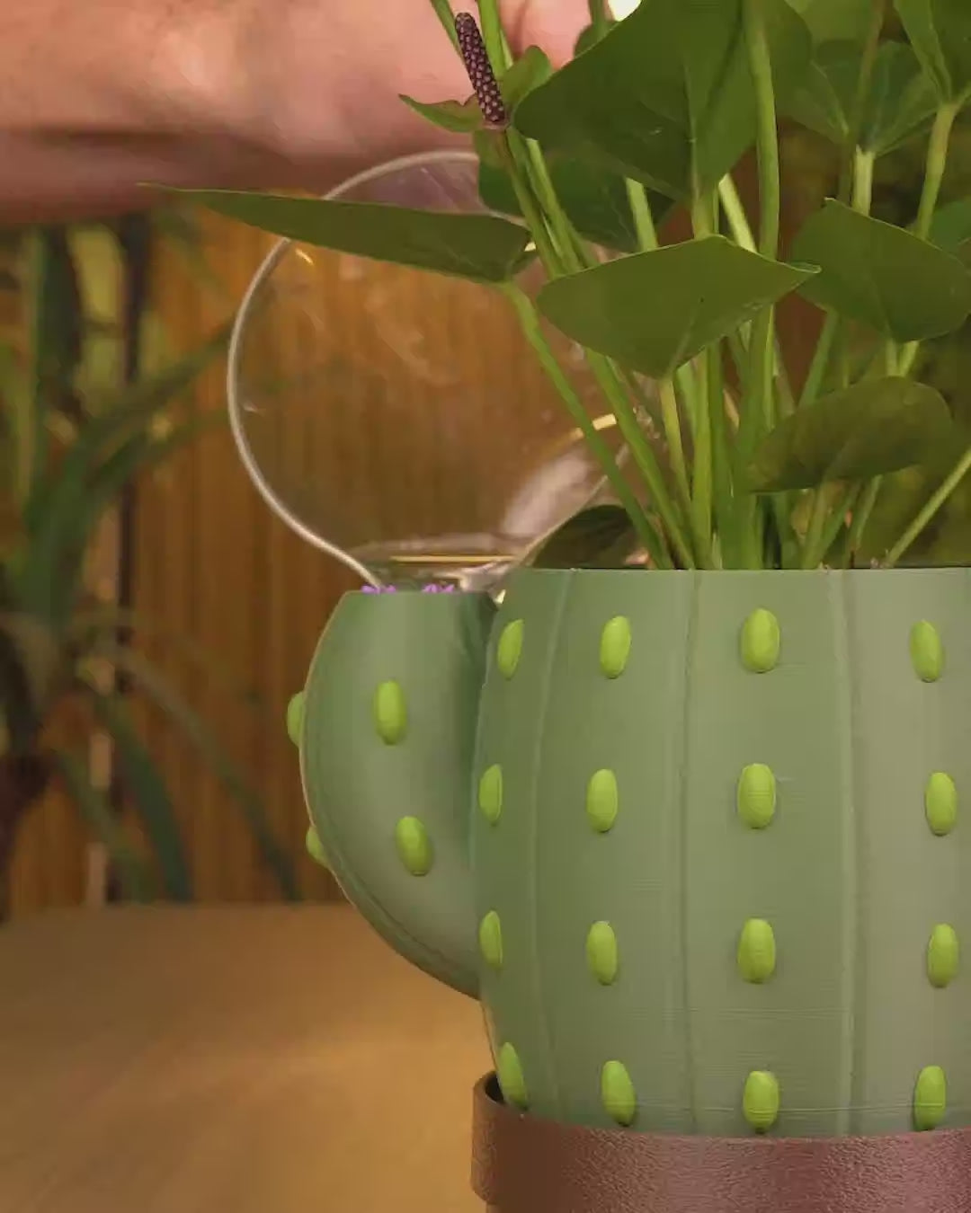 Vaso Cacto Auto-irrigável — vídeo
