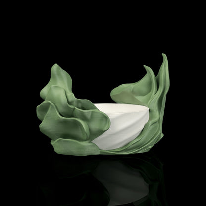Vaso Alga — foto 3