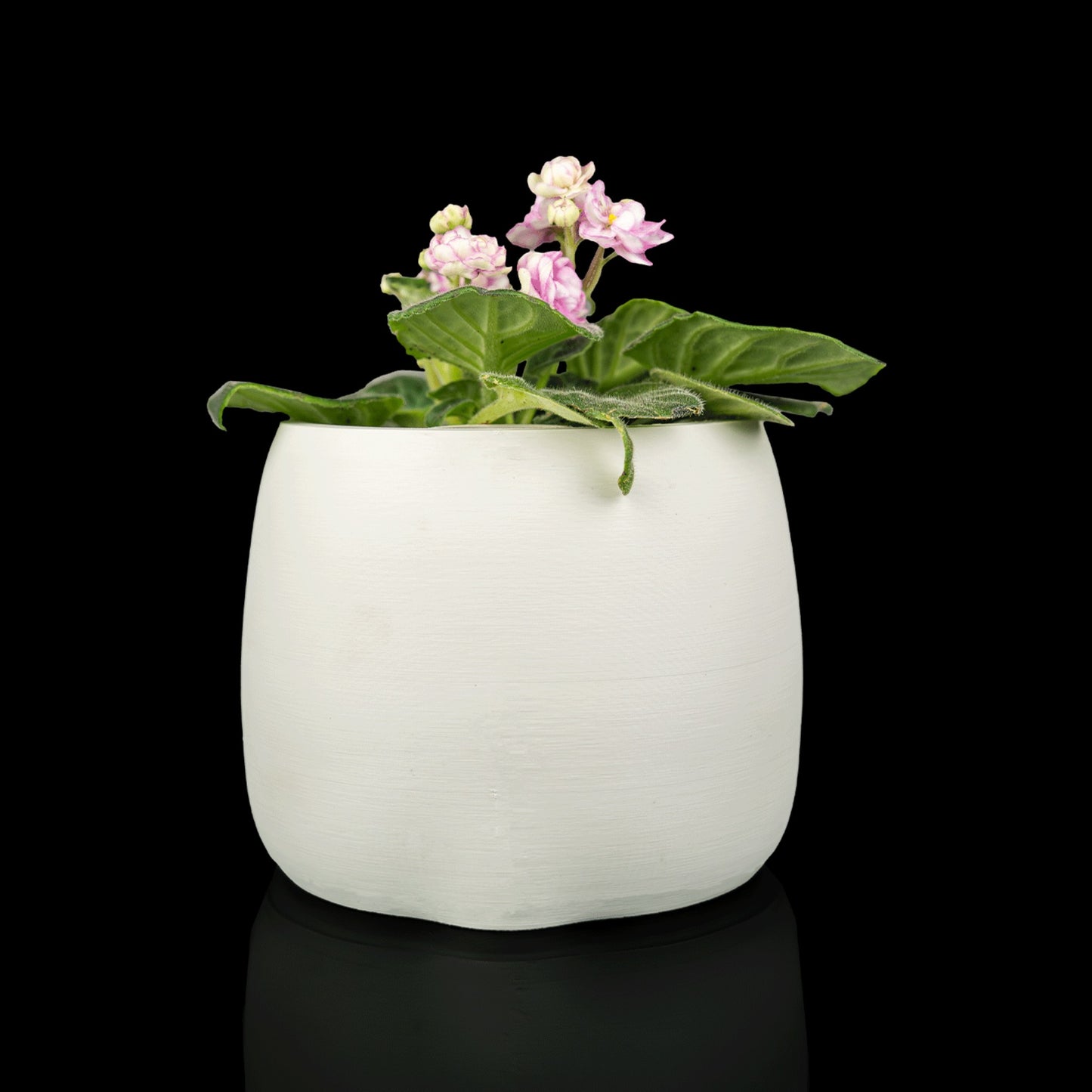 Vaso Carinha — foto 3